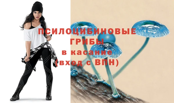 гашик Белоозёрский