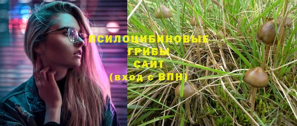 MDMA Белокуриха