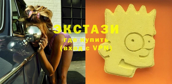 гашик Богородицк