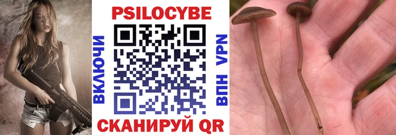 Псилоцибиновые грибы GOLDEN TEACHER  купить   мега как войти  Макаров 